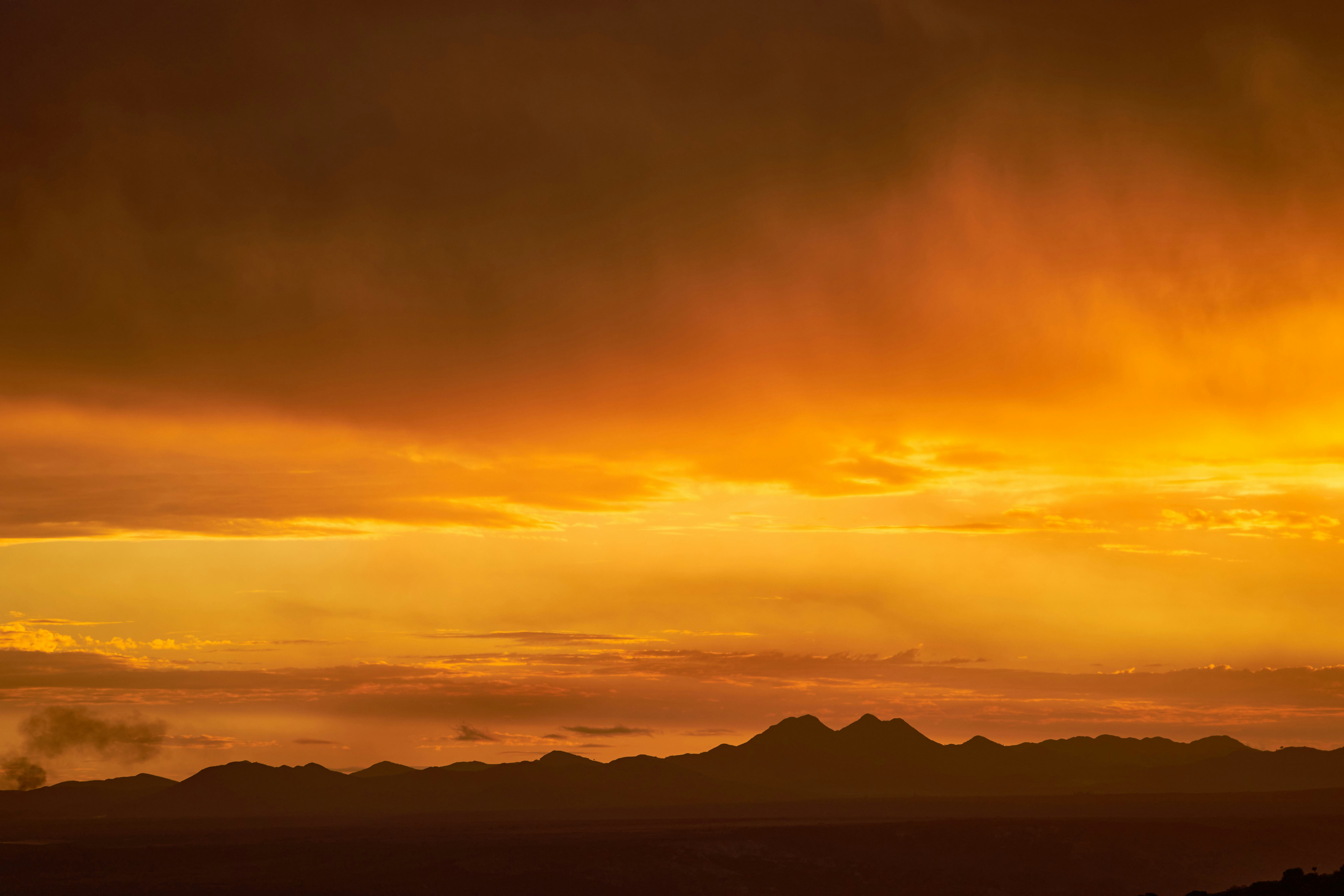 Photo by wolfgang_hasselmann