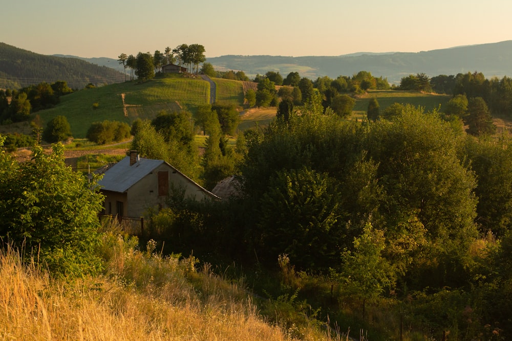 casa branca e marrom no campo de grama verde durante o dia