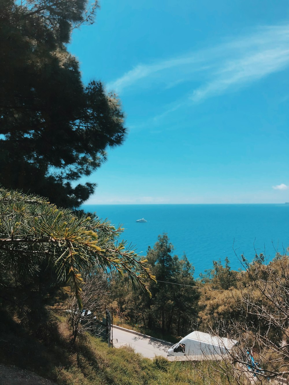 green trees near blue sea under blue sky during daytime