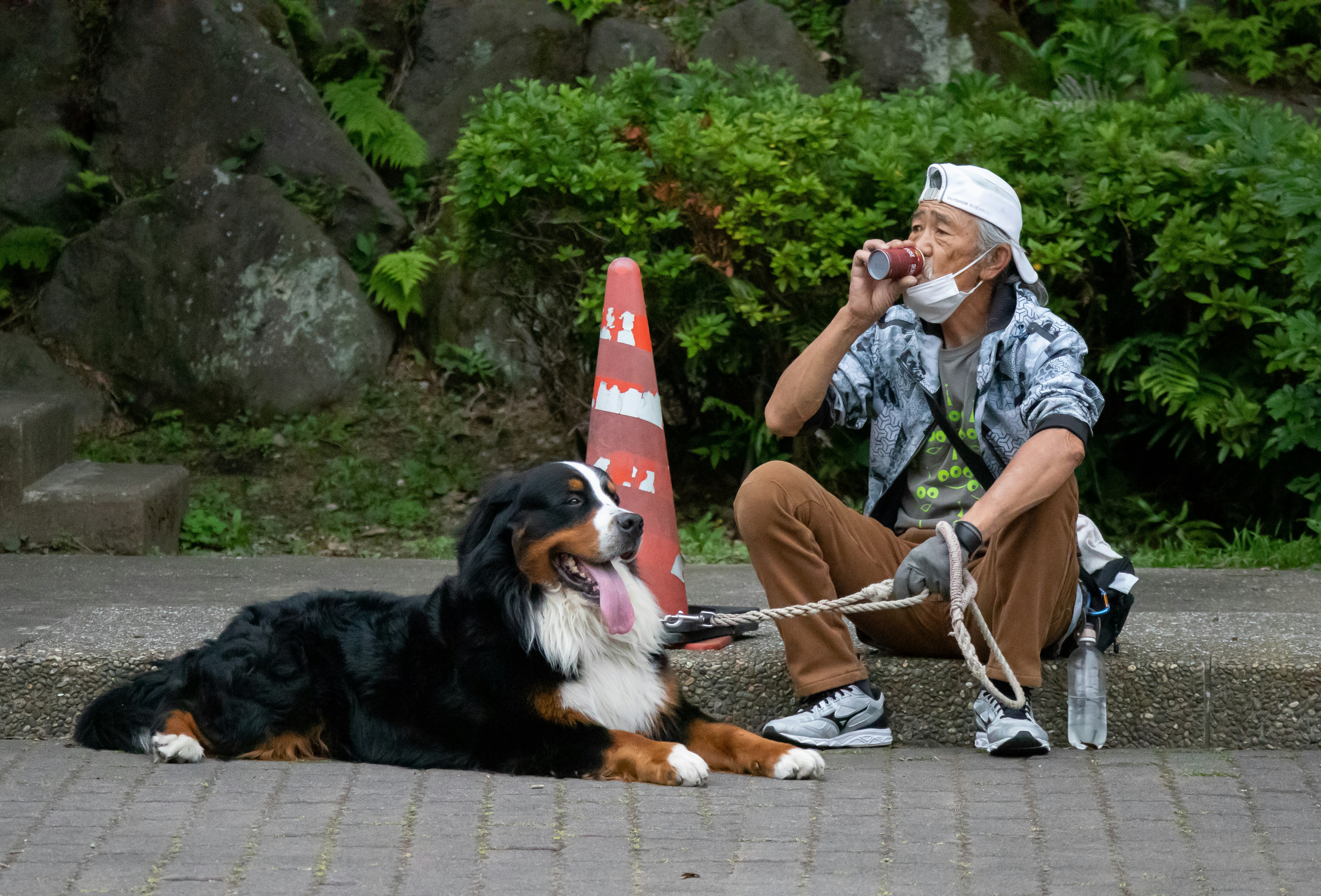 Medical alert dog sitting with handler