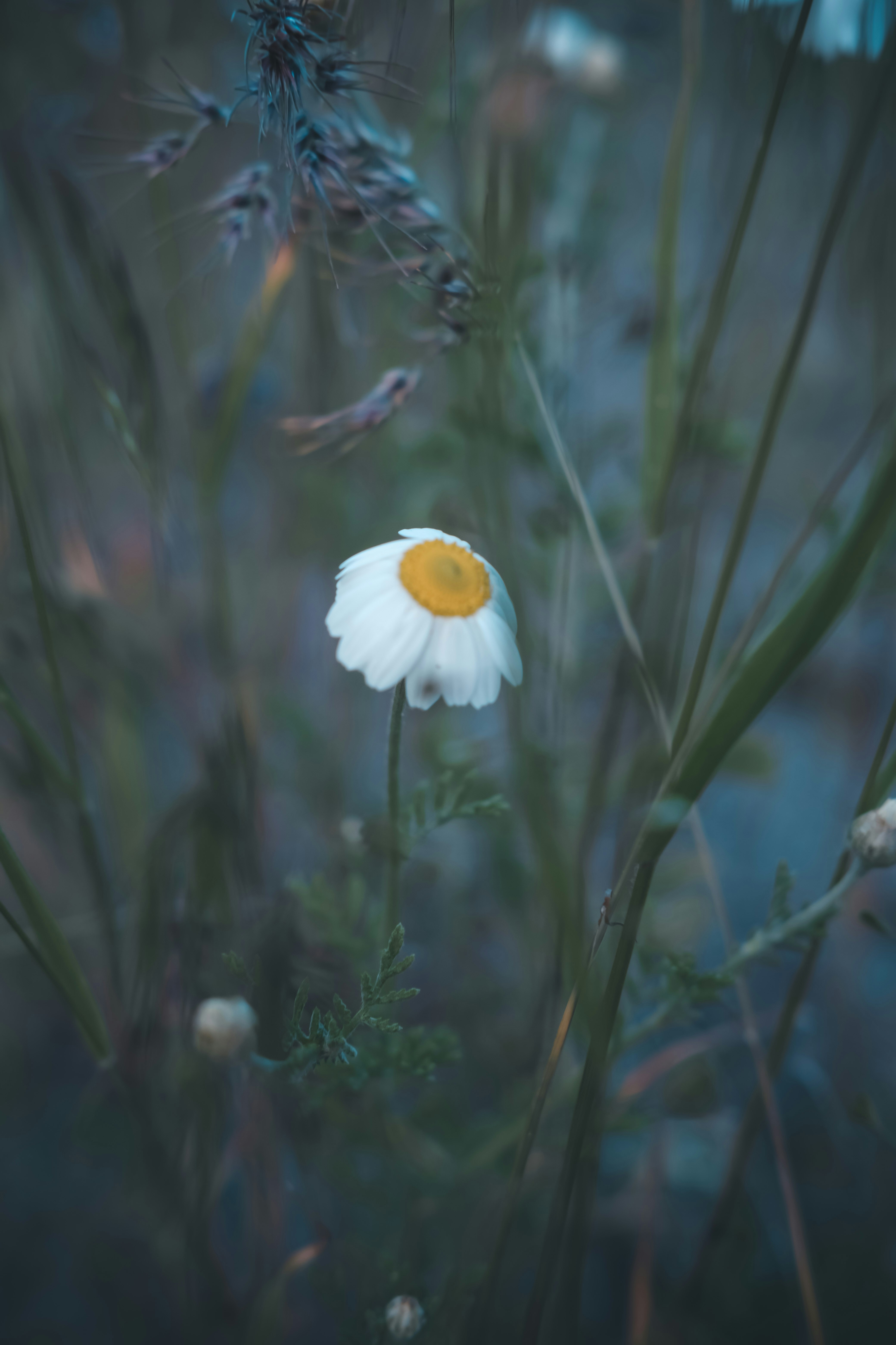 Photo by create4eyes