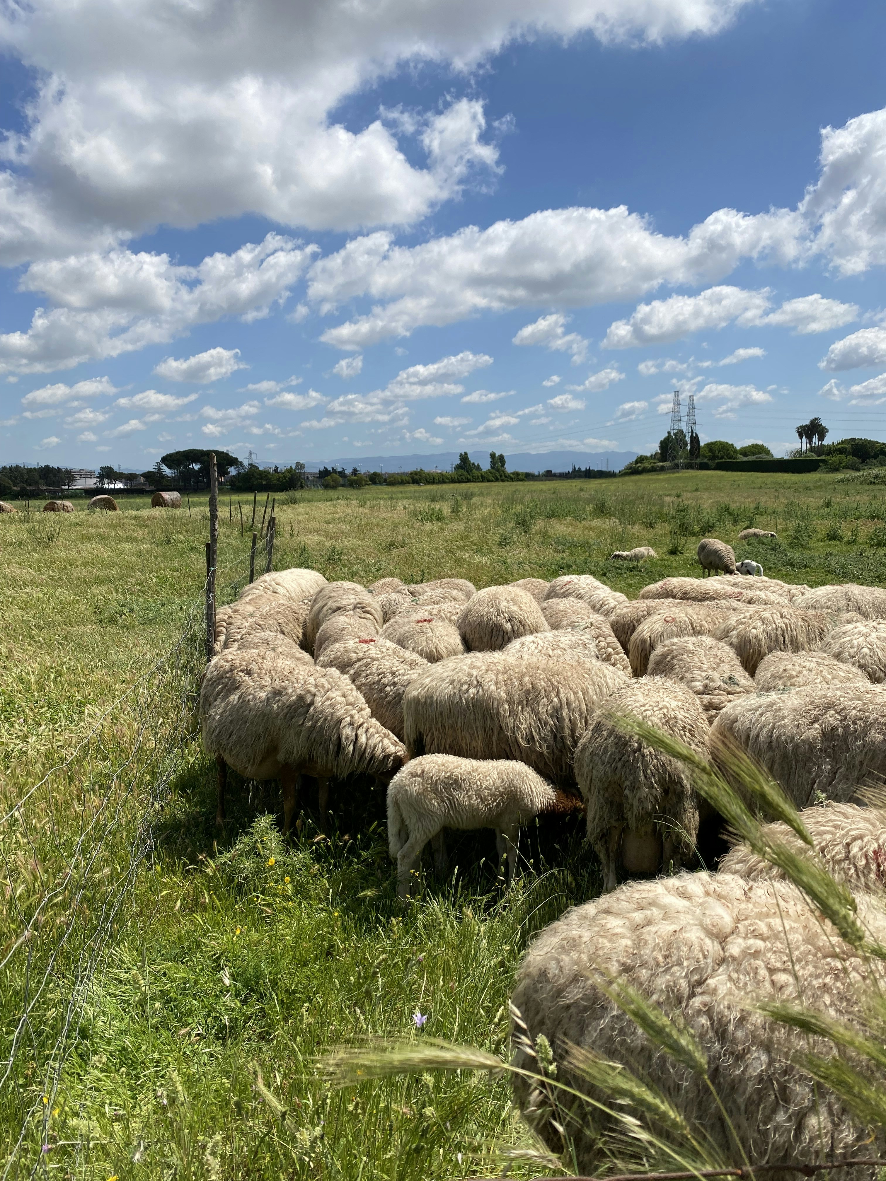 Cinecittà Studios photo 2