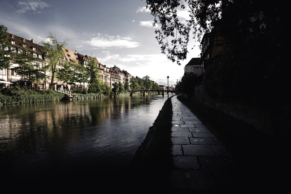 gray concrete pathway beside river under blue sky during daytime