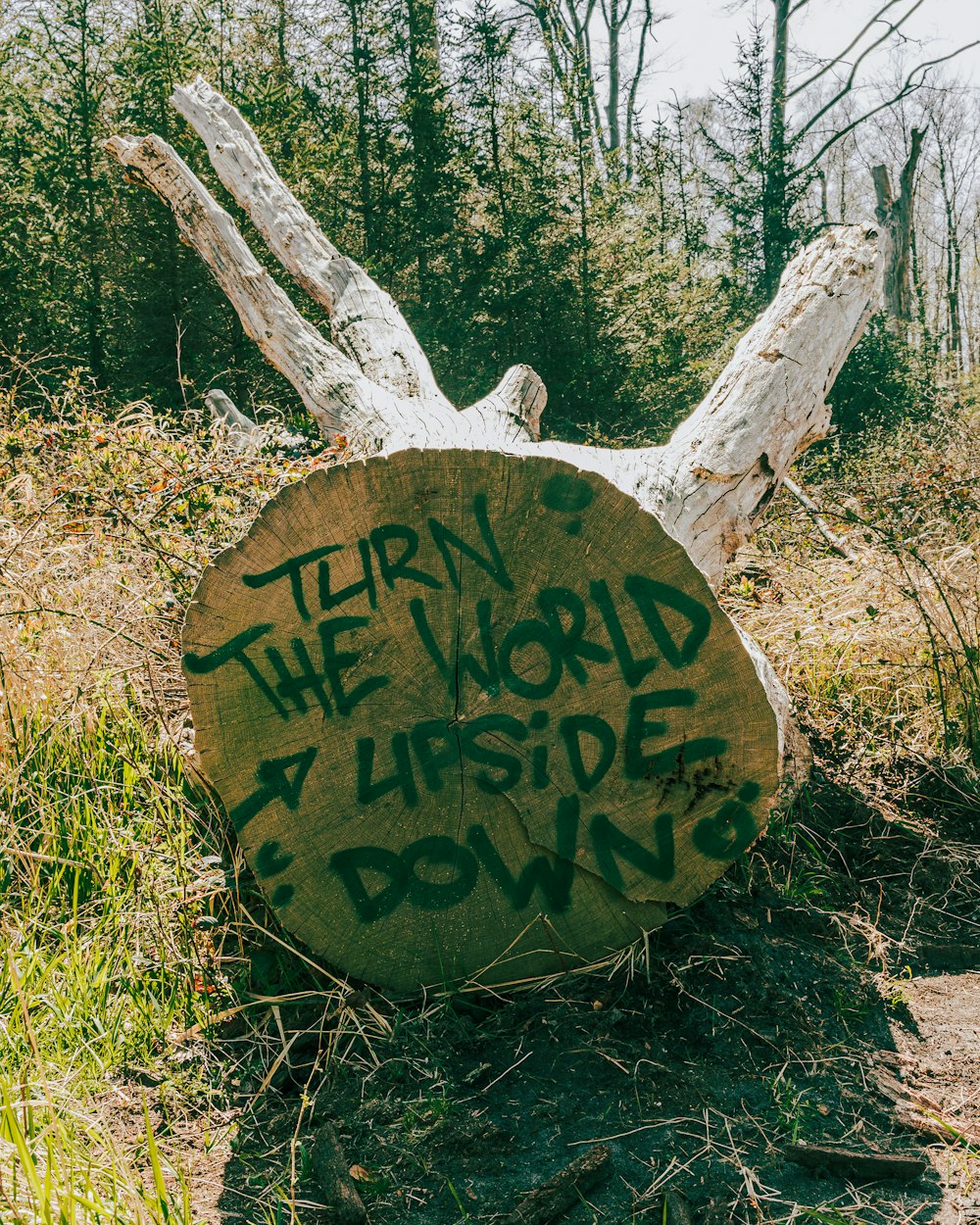 brown and black wooden round signage on green grass during daytime