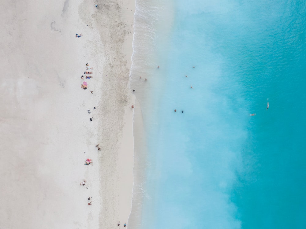 aerial view of beach during daytime