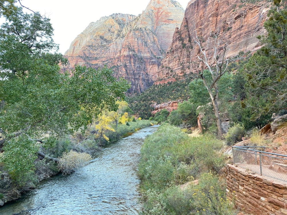 Río entre árboles verdes y montañas marrones durante el día