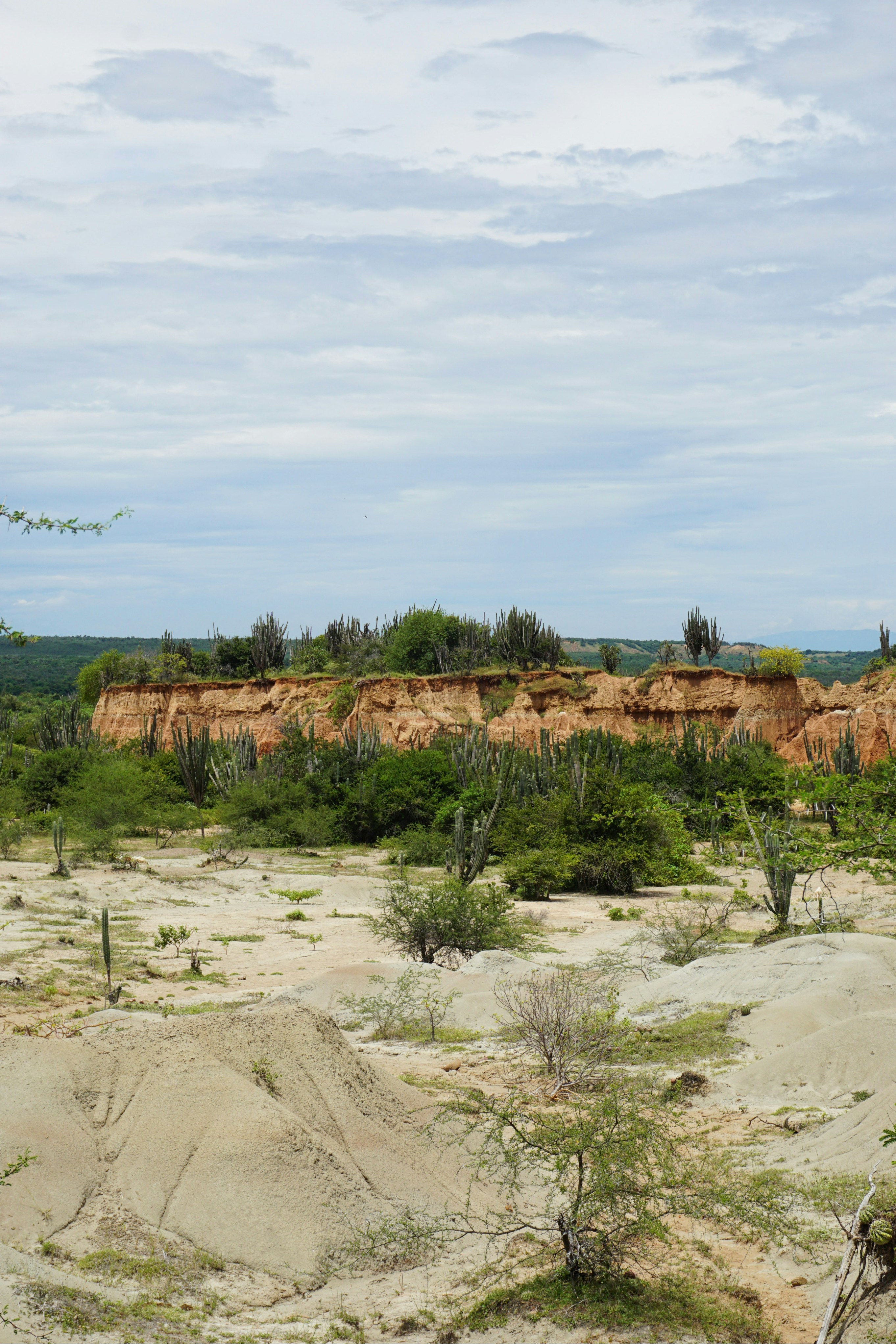 Photo by datingjungle