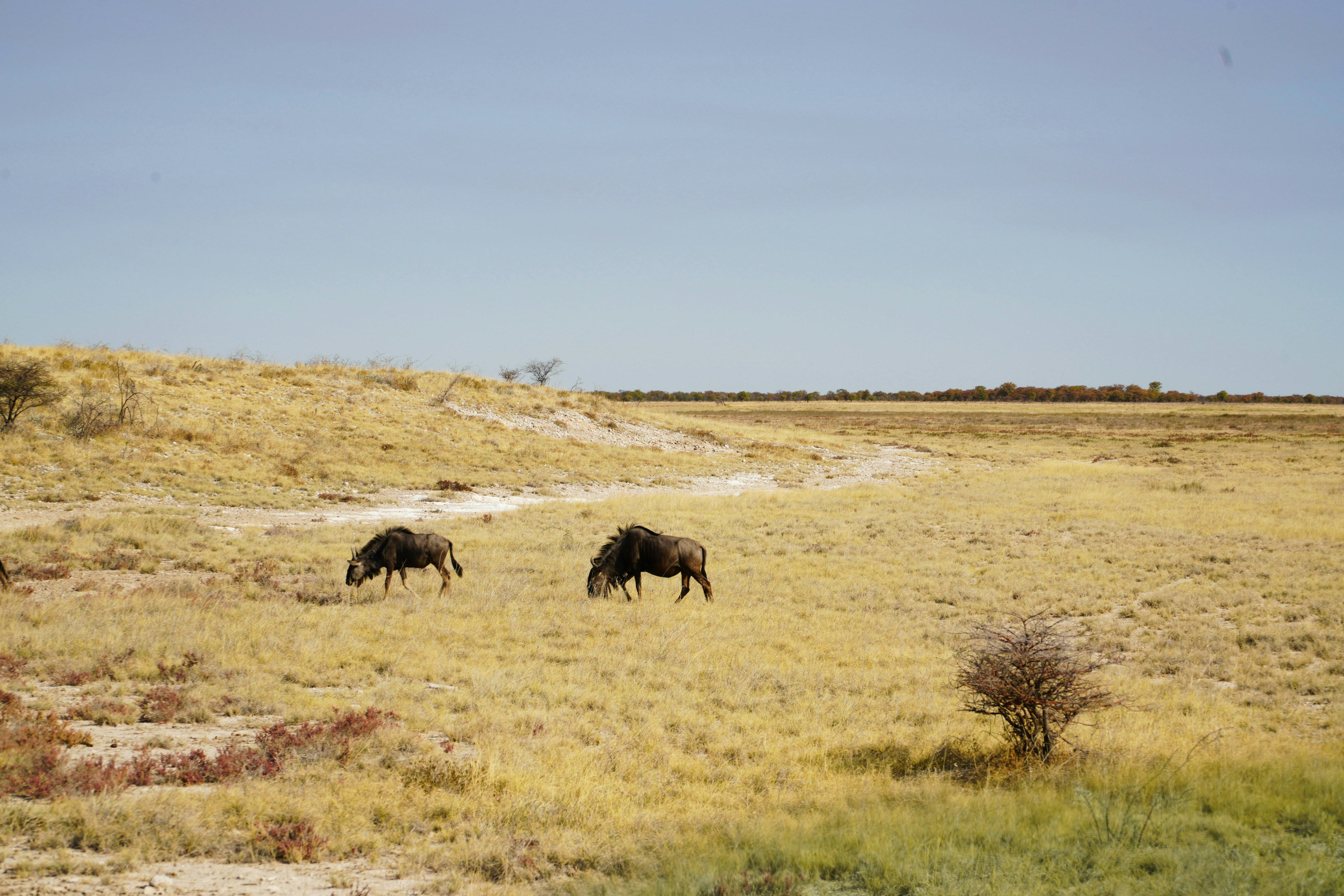 Photo by datingjungle