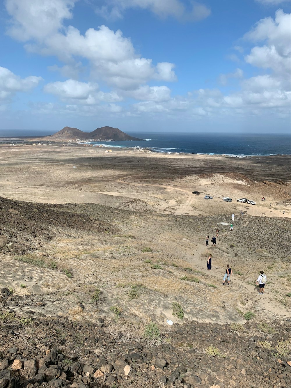 people walking on brown sand beach during daytime