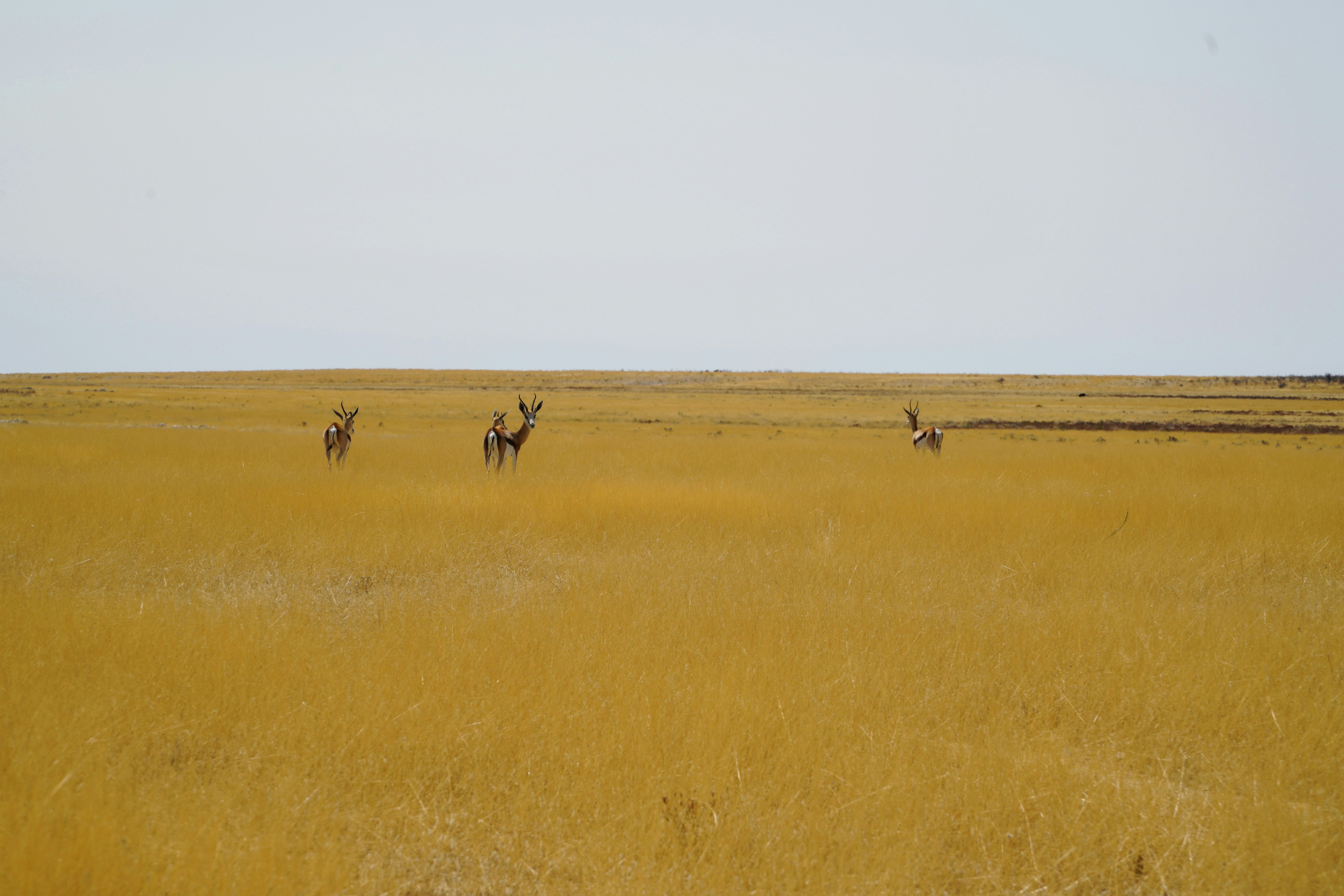 Photo by secrettravelguide