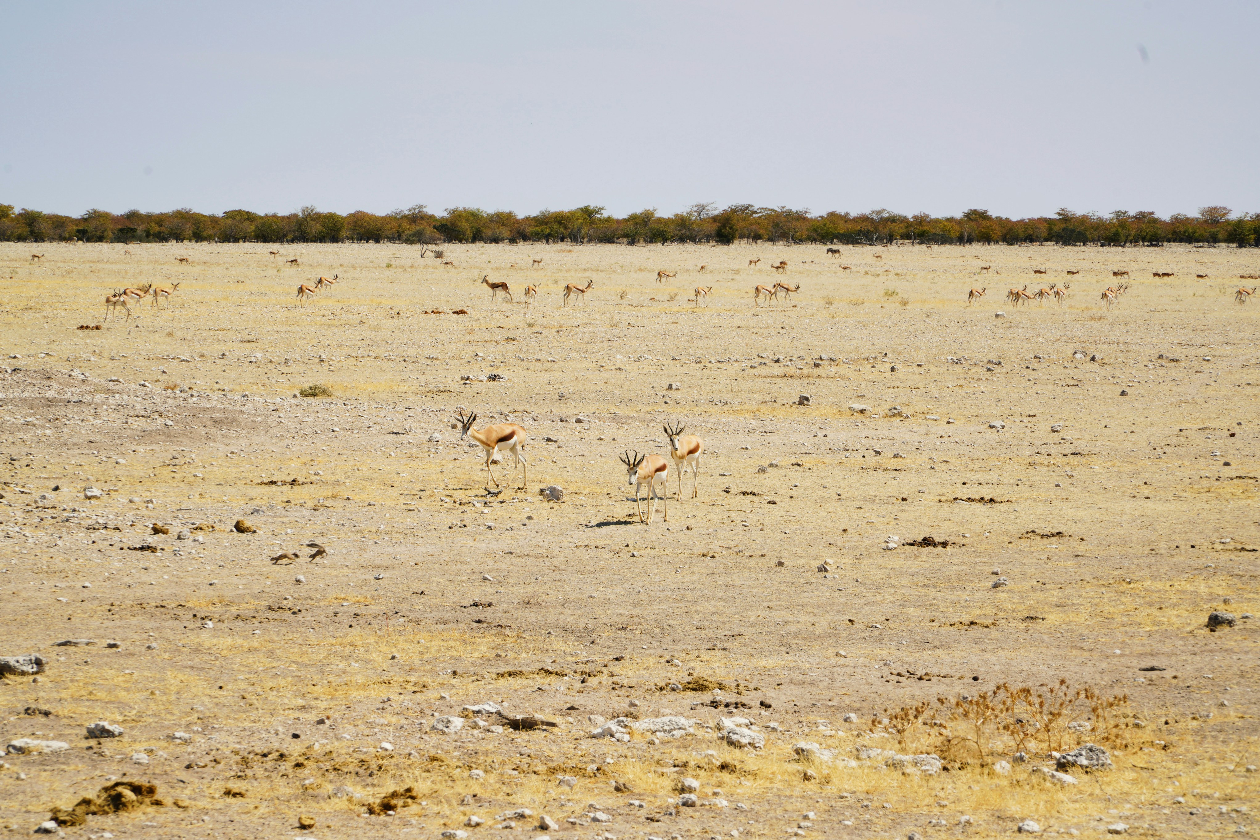 Photo by secrettravelguide