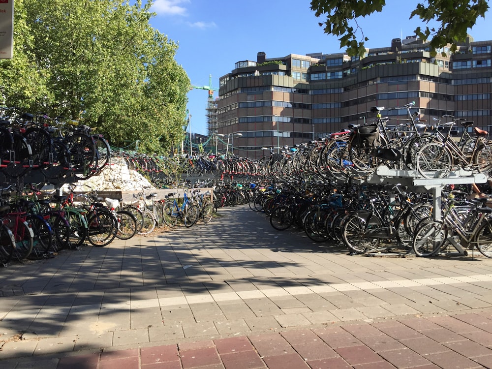 bicycles parked on sidewalk near building during daytime