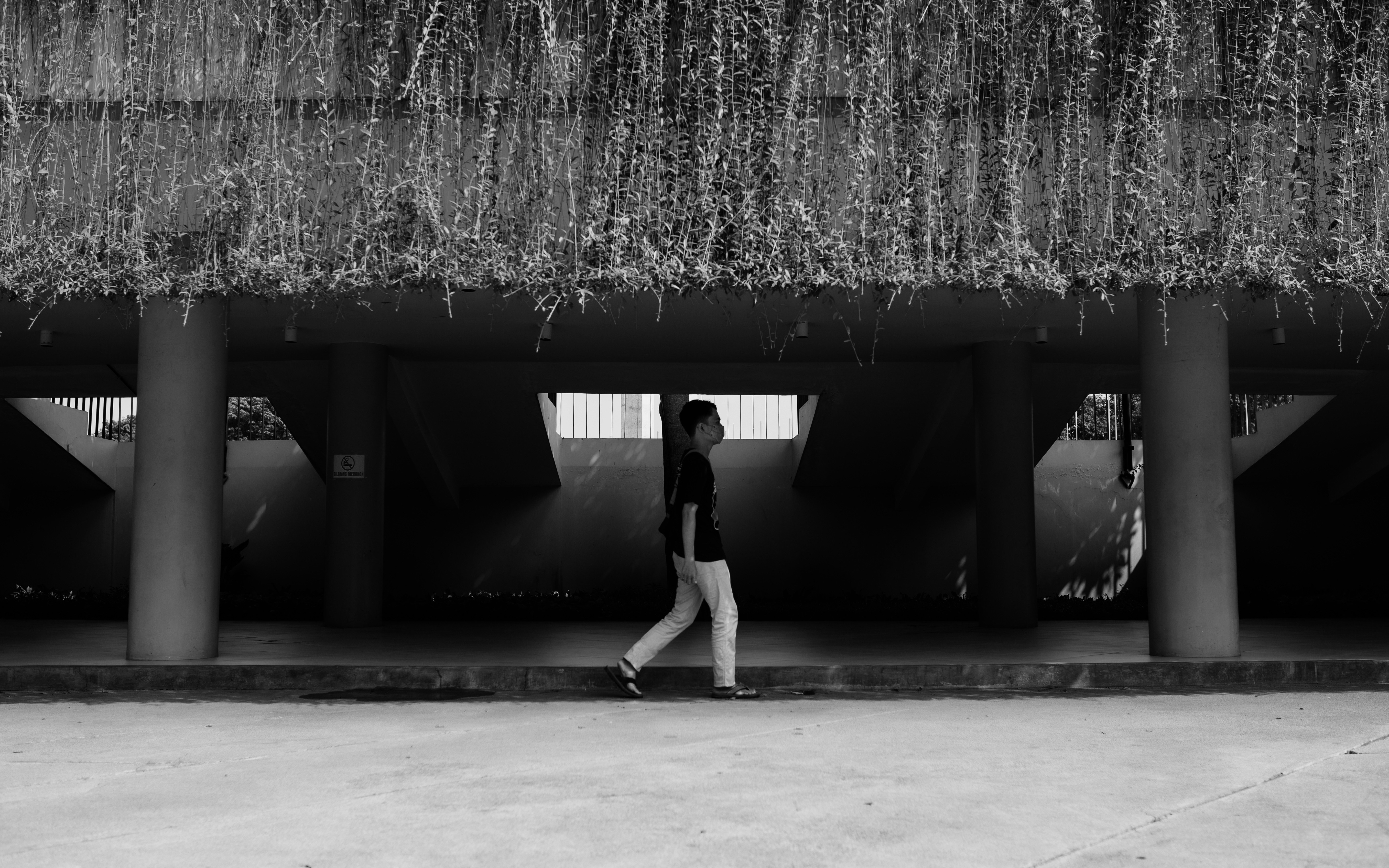 Photo by royluthfi