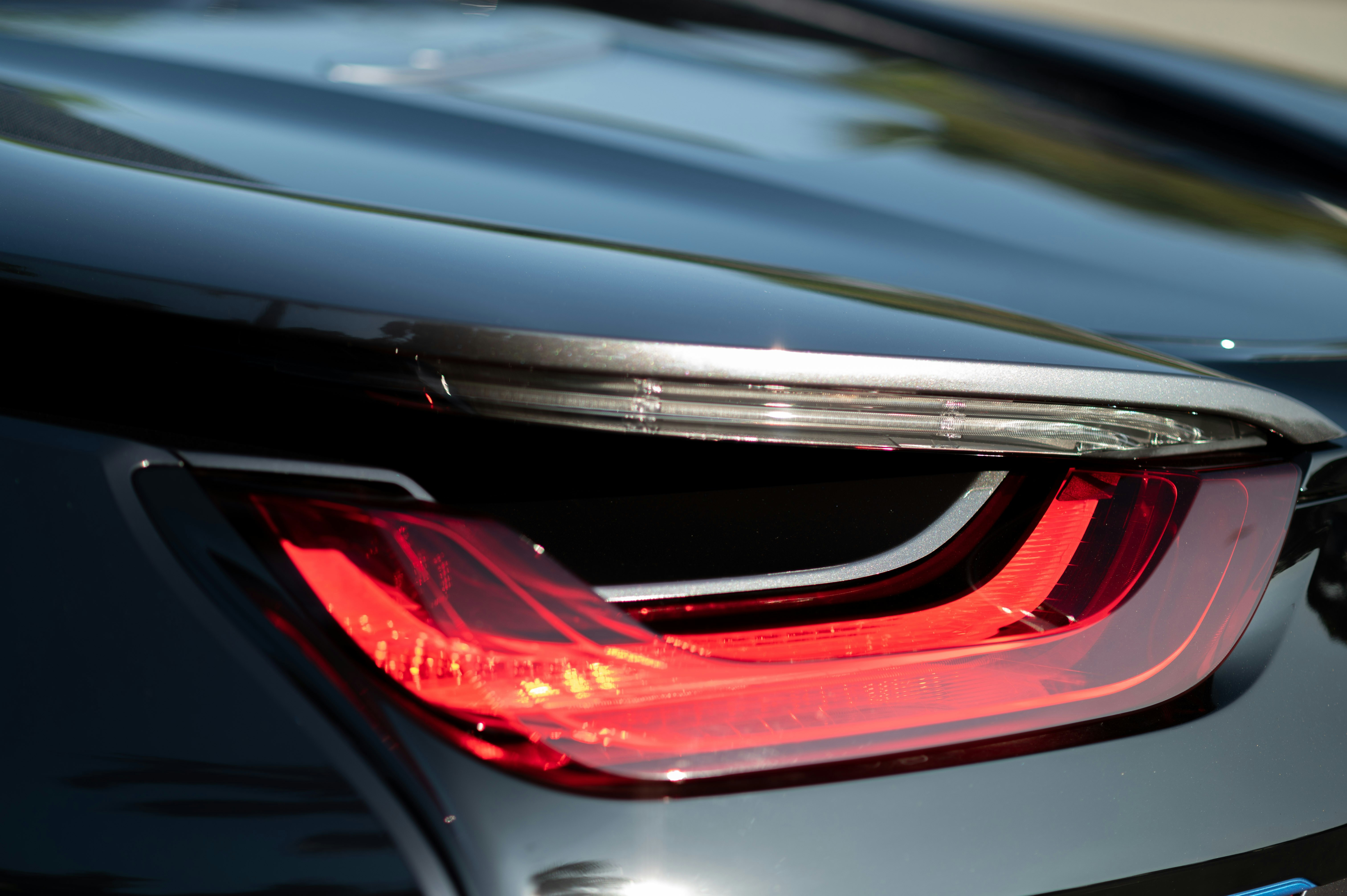 Photo by sandratansh