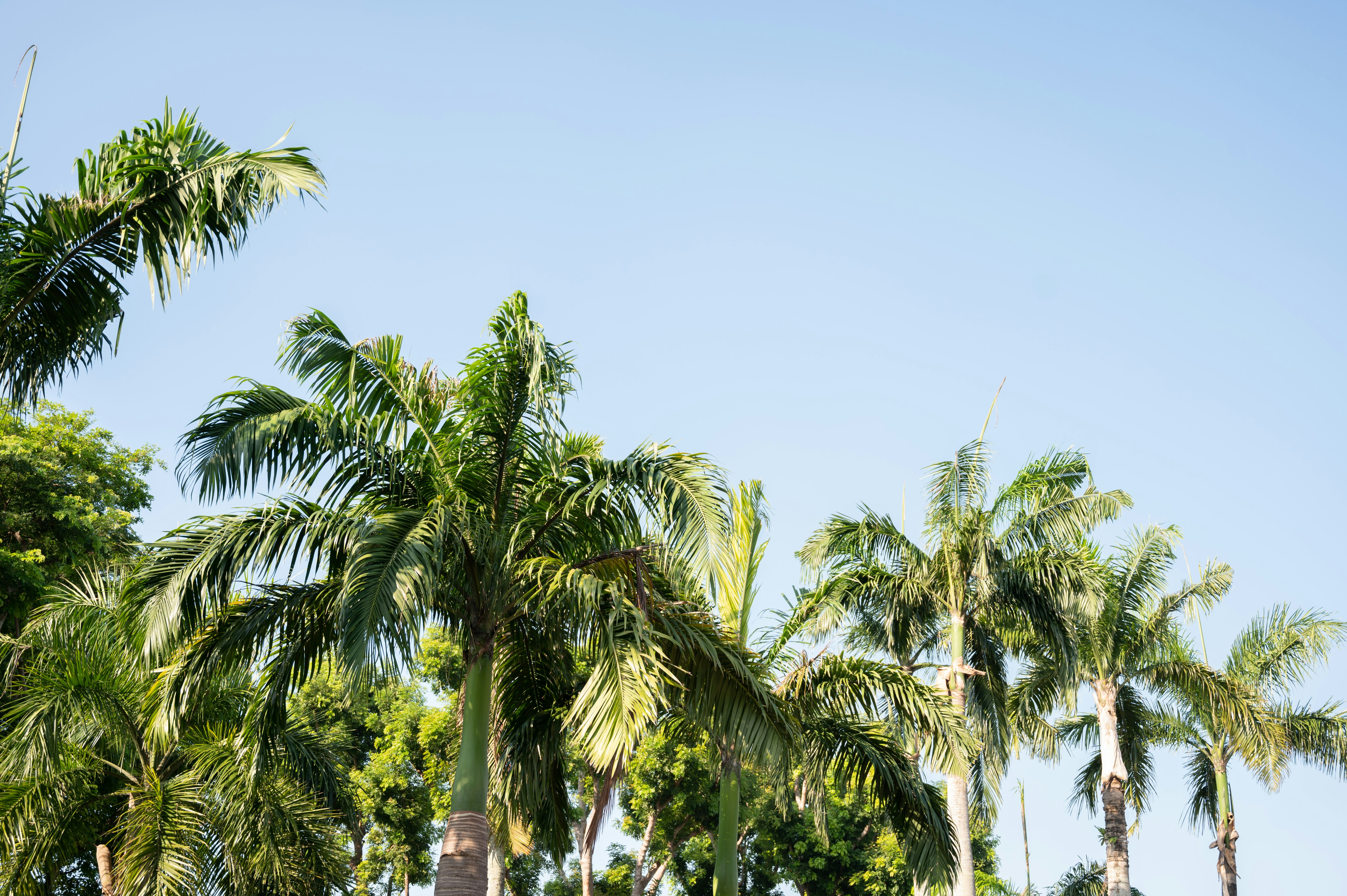 Photo by sandratansh