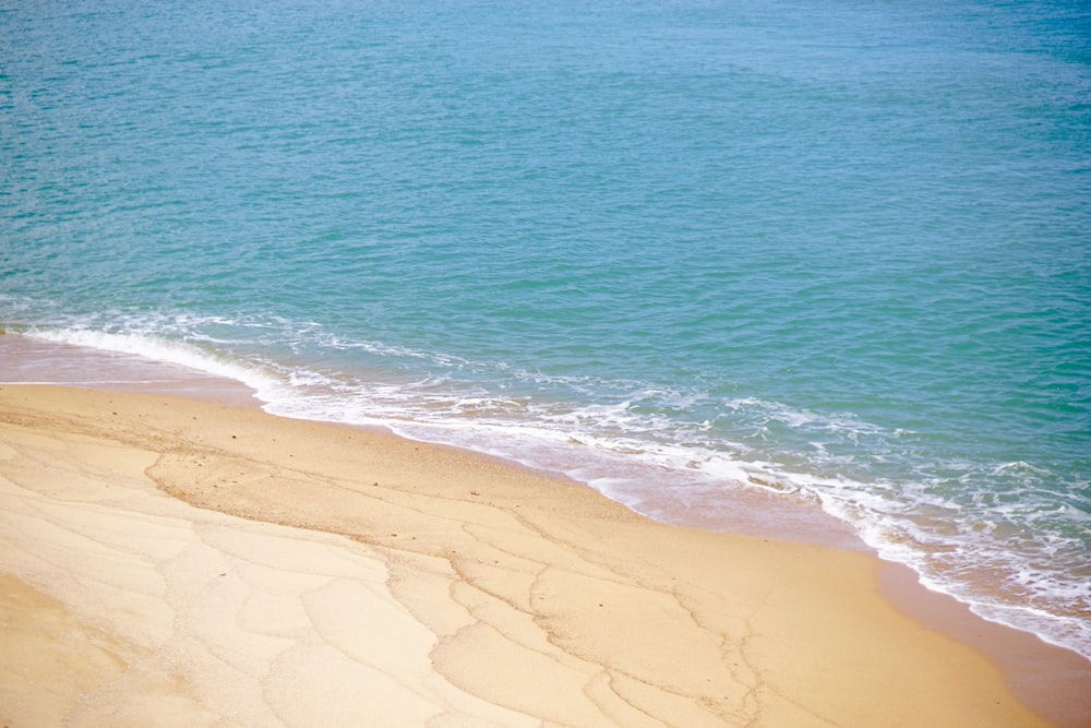 brown sand beach during daytime