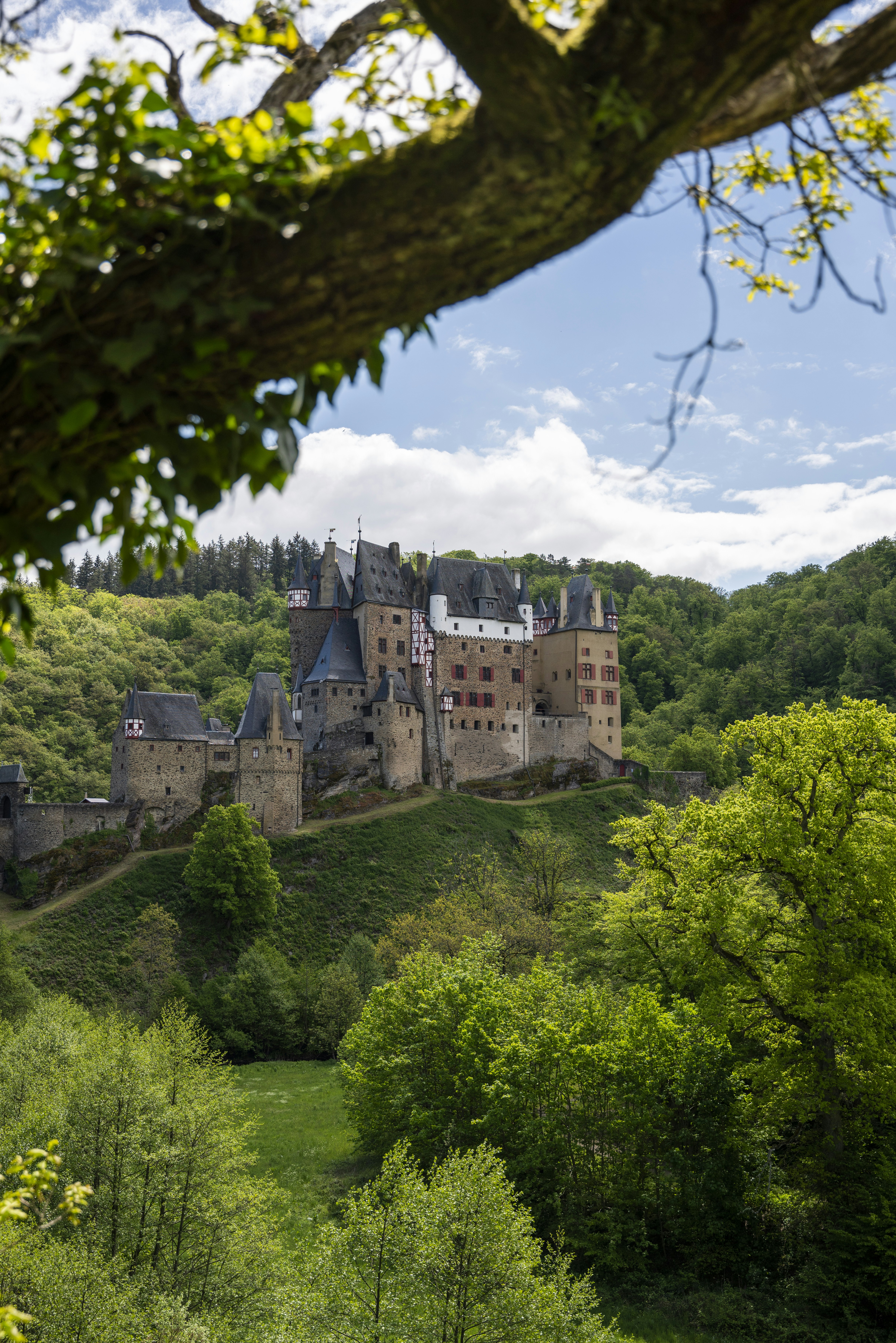 brown concrete castle on top of green mountain during daytime