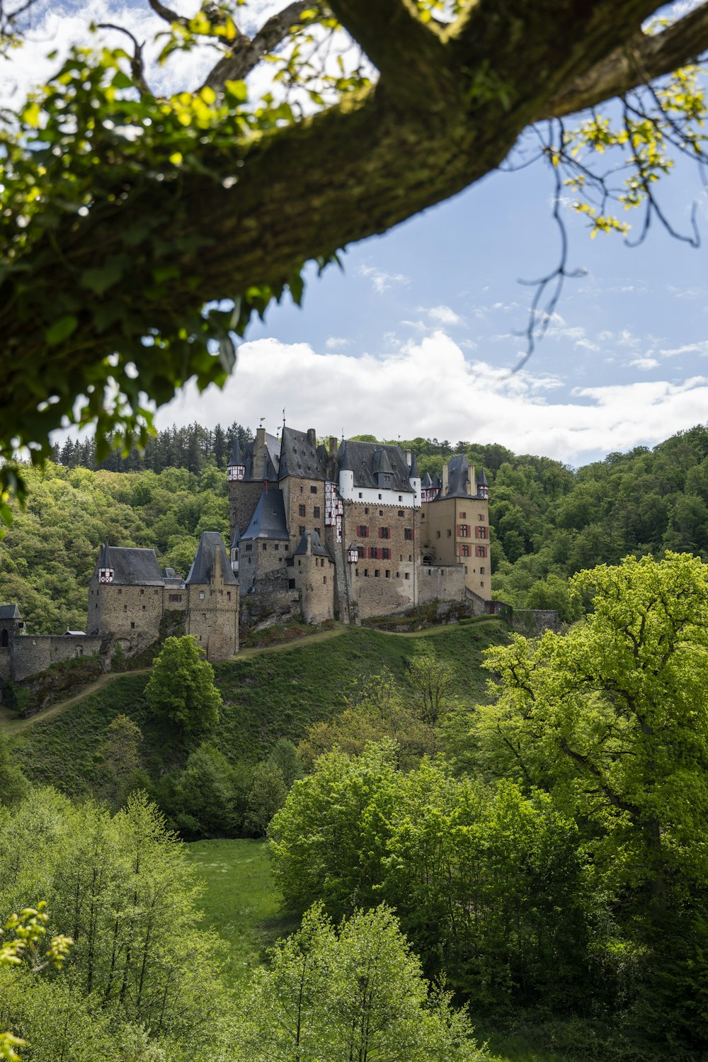 Château en béton brun au sommet d’une montagne verte pendant la journée