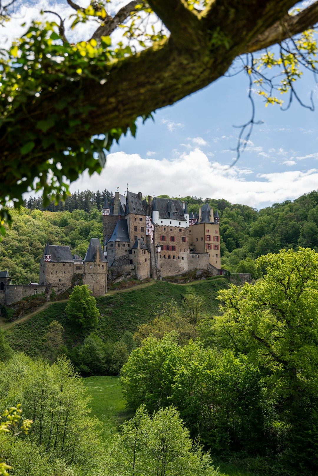 brown concrete castle on top of green mountain during daytime