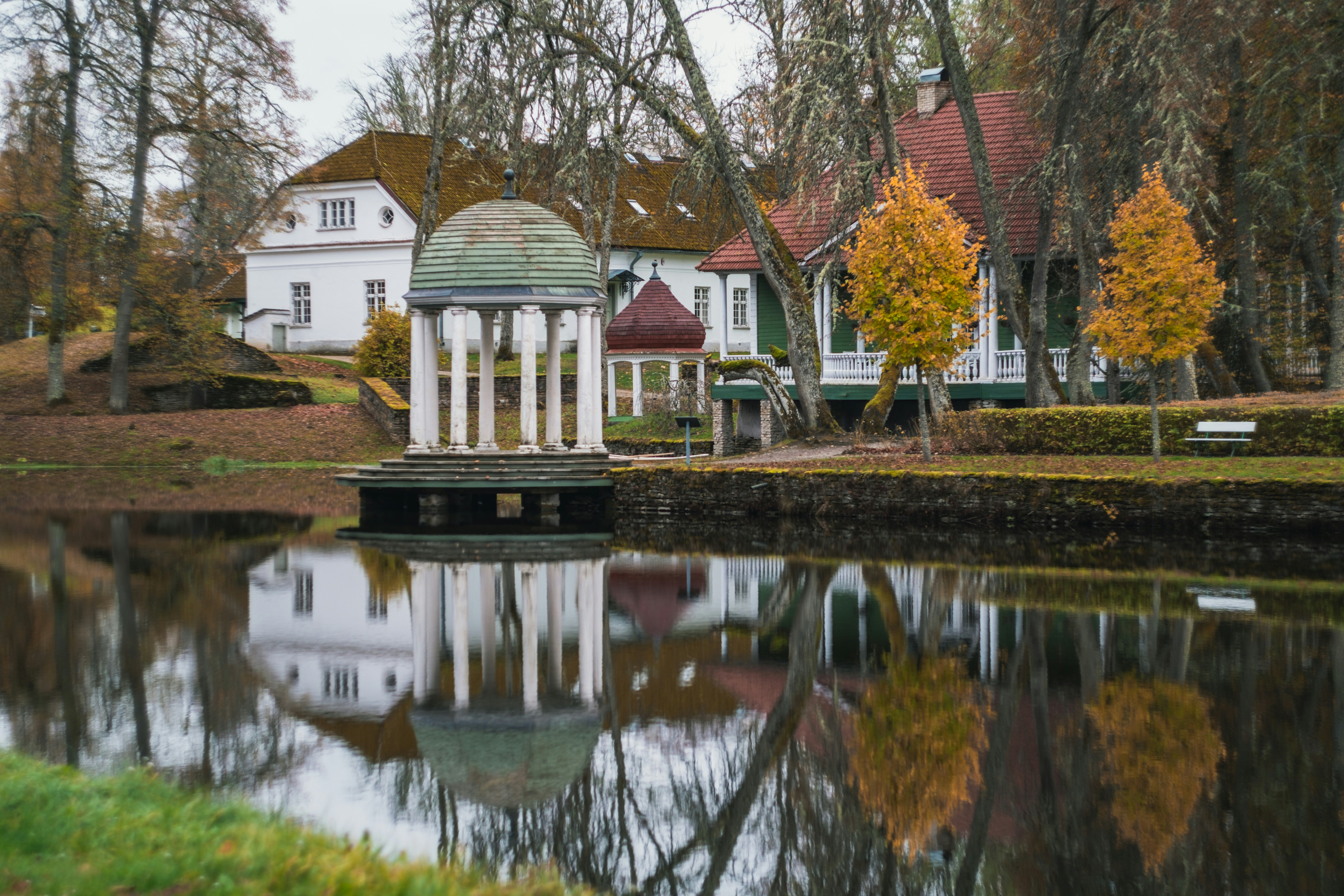 Photo by silverringvee