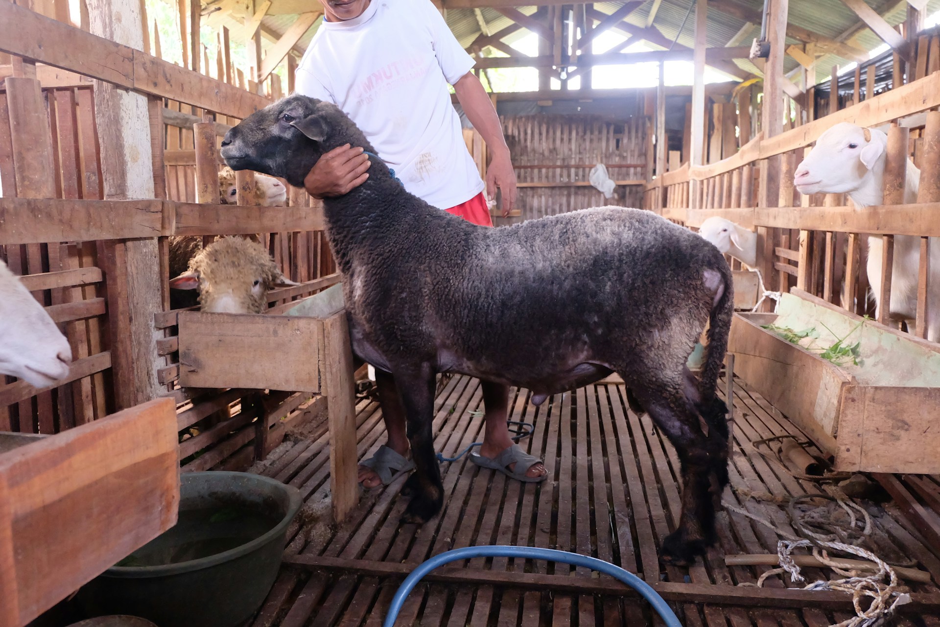 woman wearing yellow long-sleeved dress under white clouds and blue sky during daytime