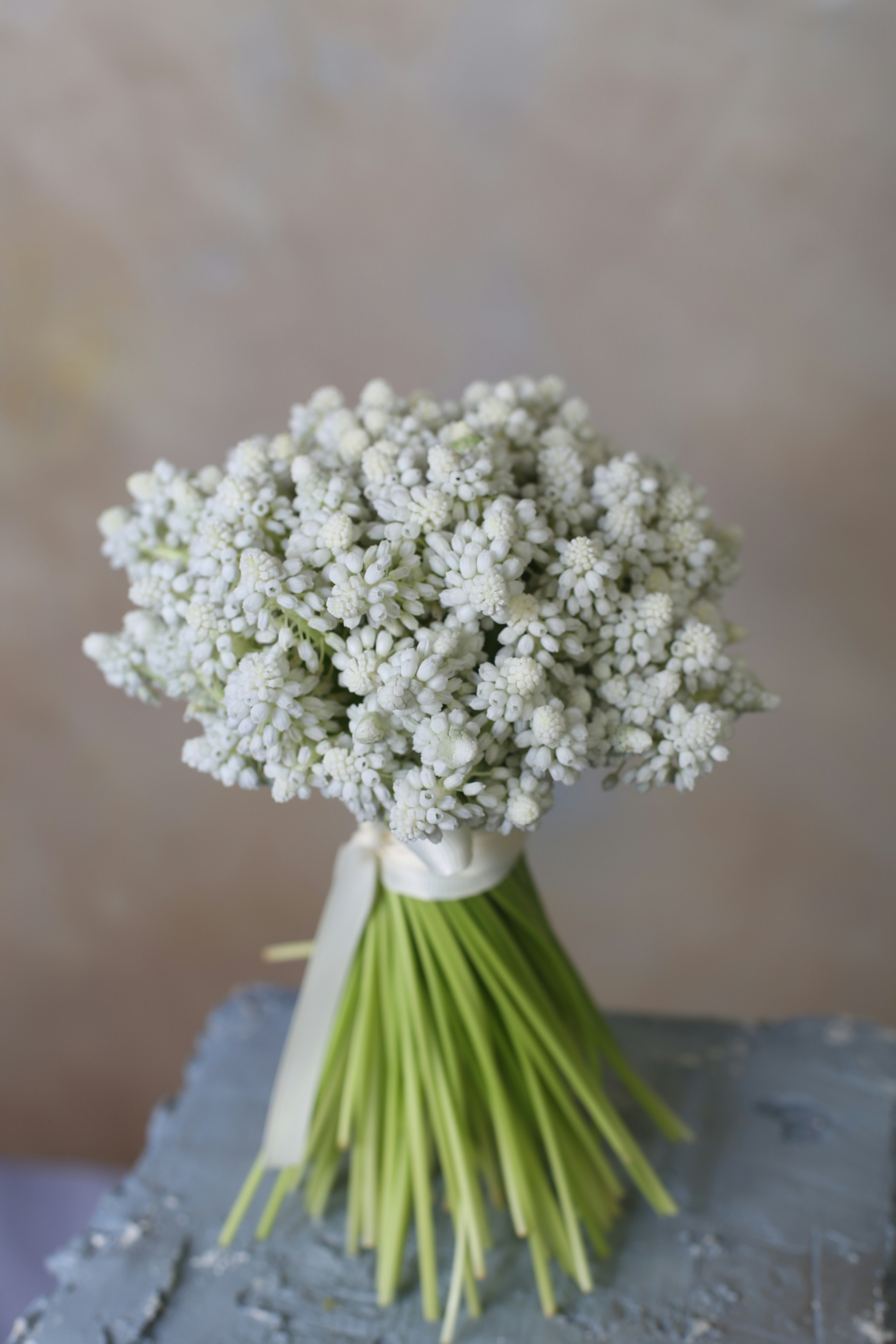 Photo by kenansoltanov