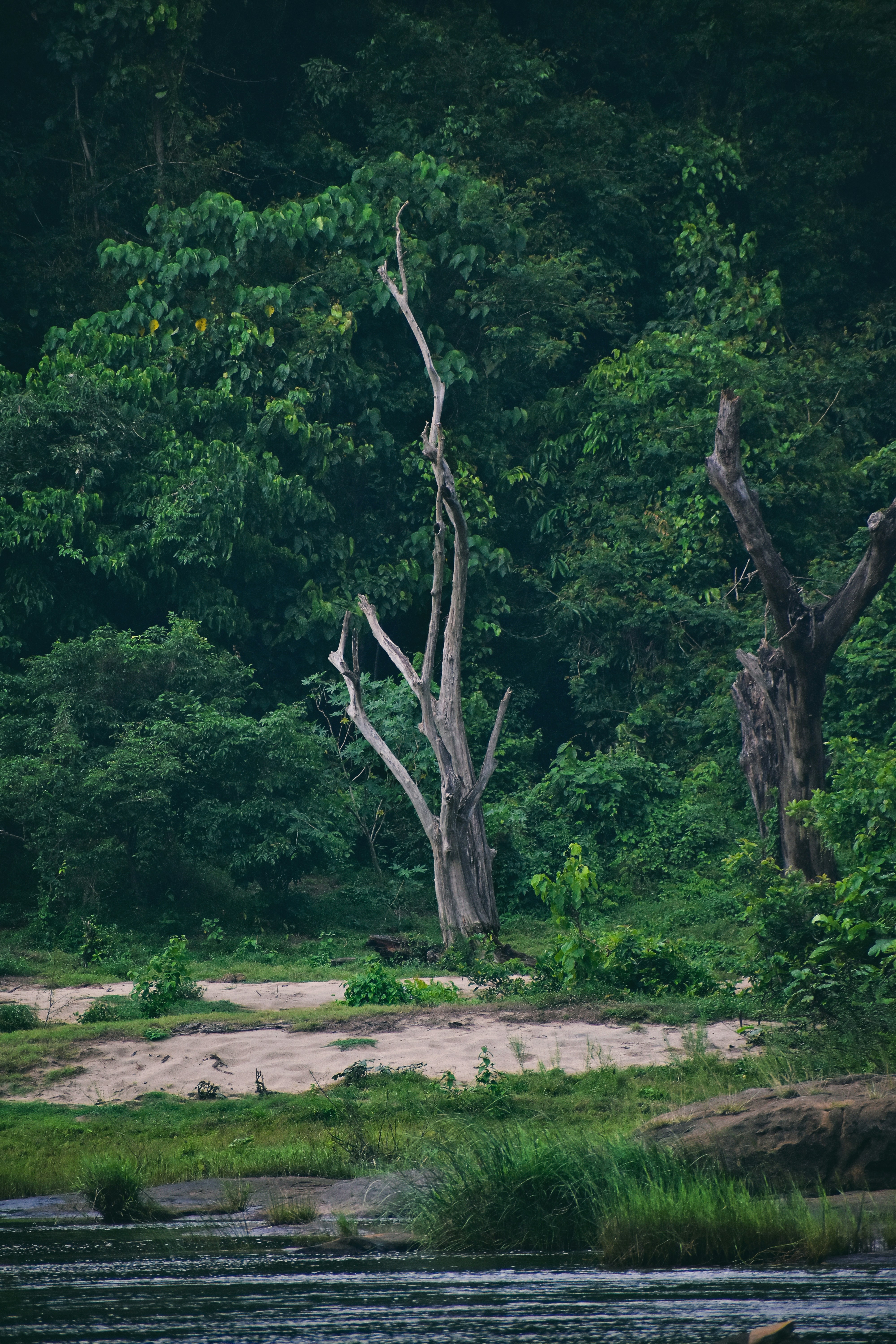 Photo by rajeshrajx8