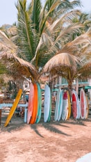 white and blue surfboard on beach during daytime