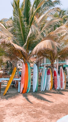 white and blue surfboard on beach during daytime
