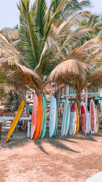 white and blue surfboard on beach during daytime