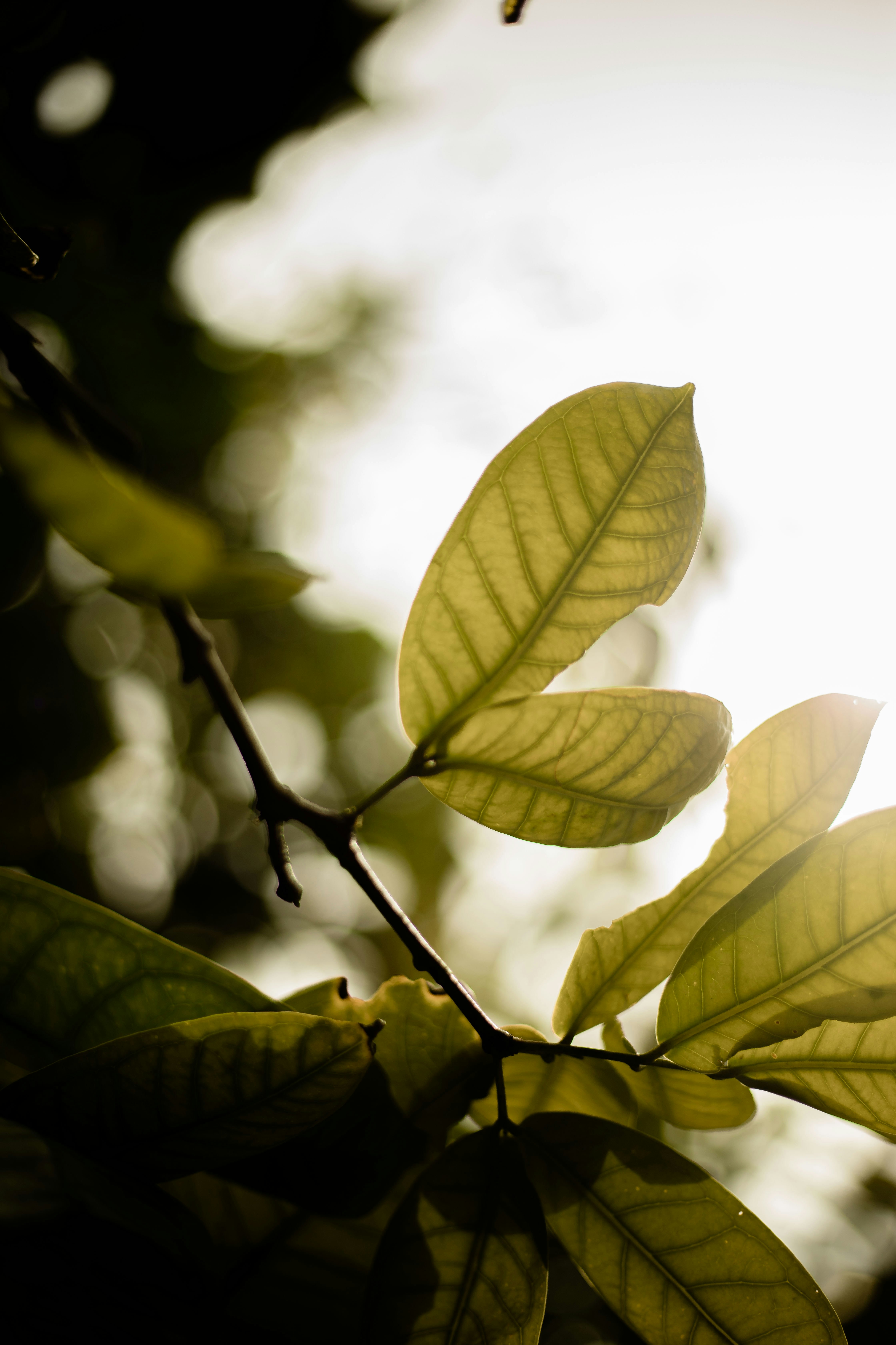 Photo by maahidphotos