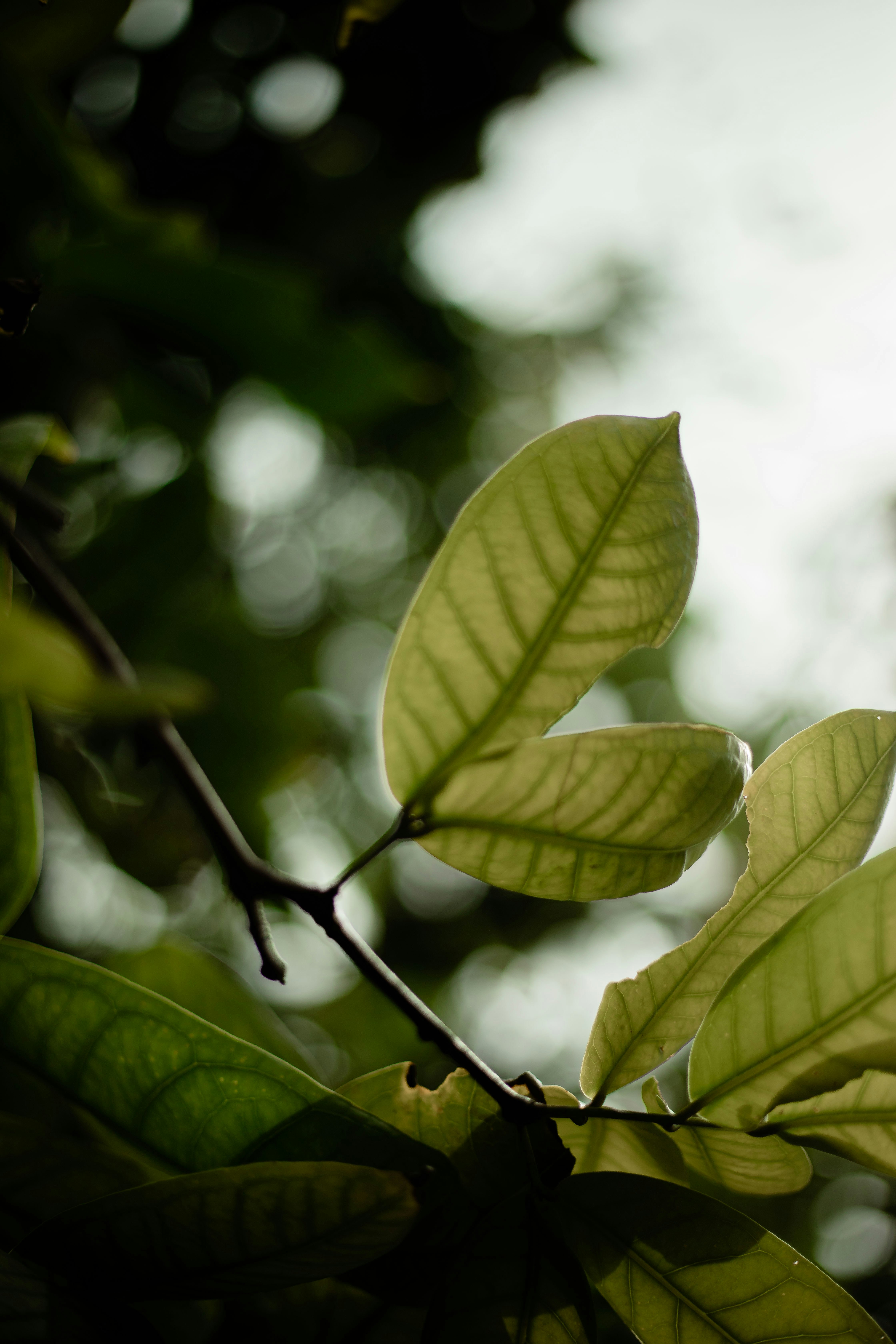 Photo by maahidphotos