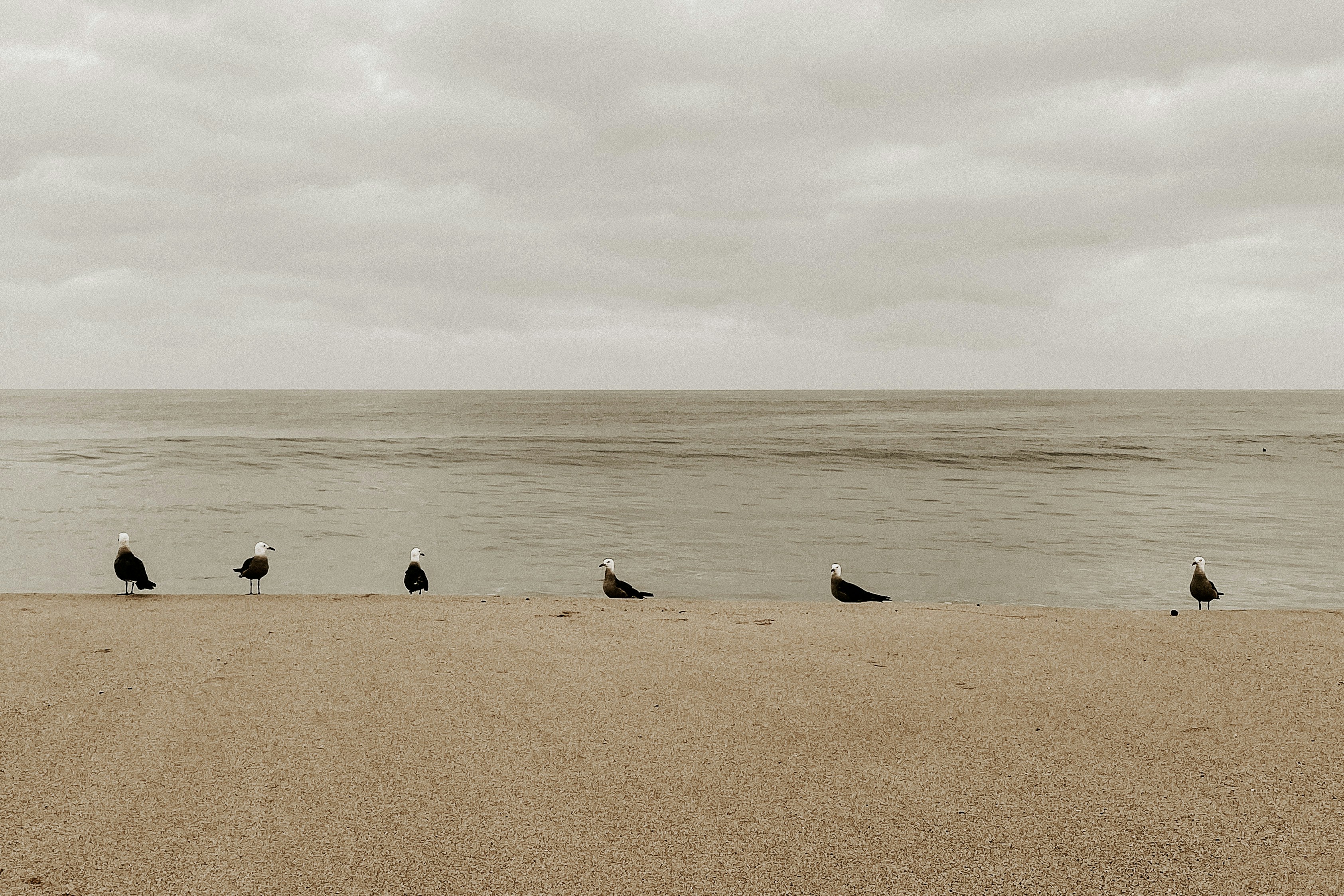 Photo by brunocervera