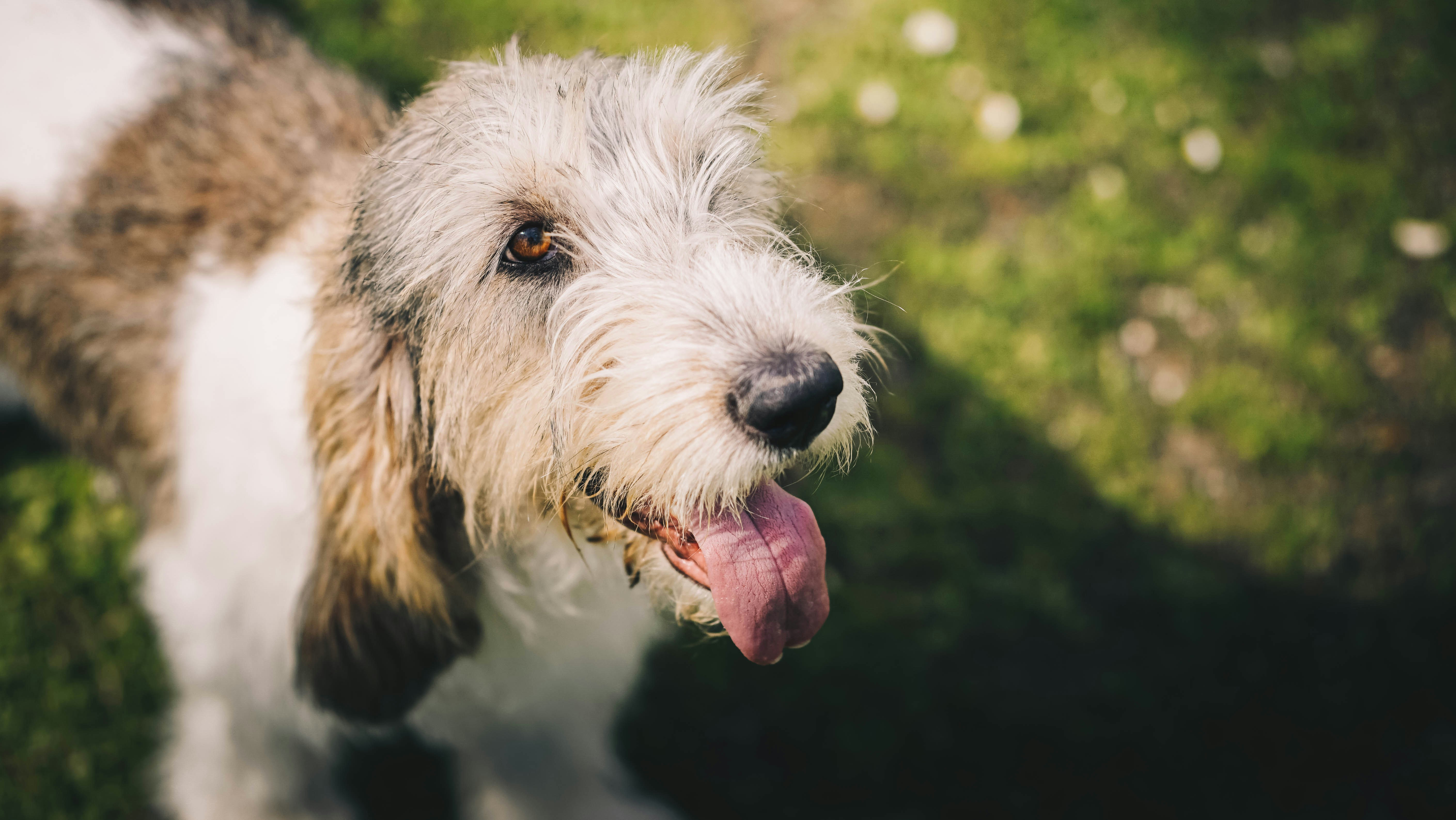 Photo by annadudkova