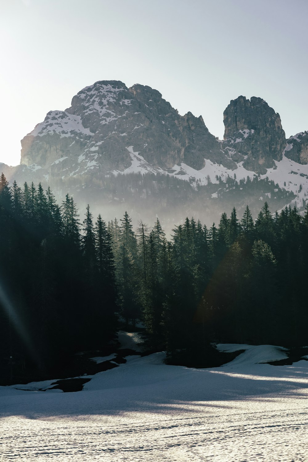 green pine trees near mountain during daytime