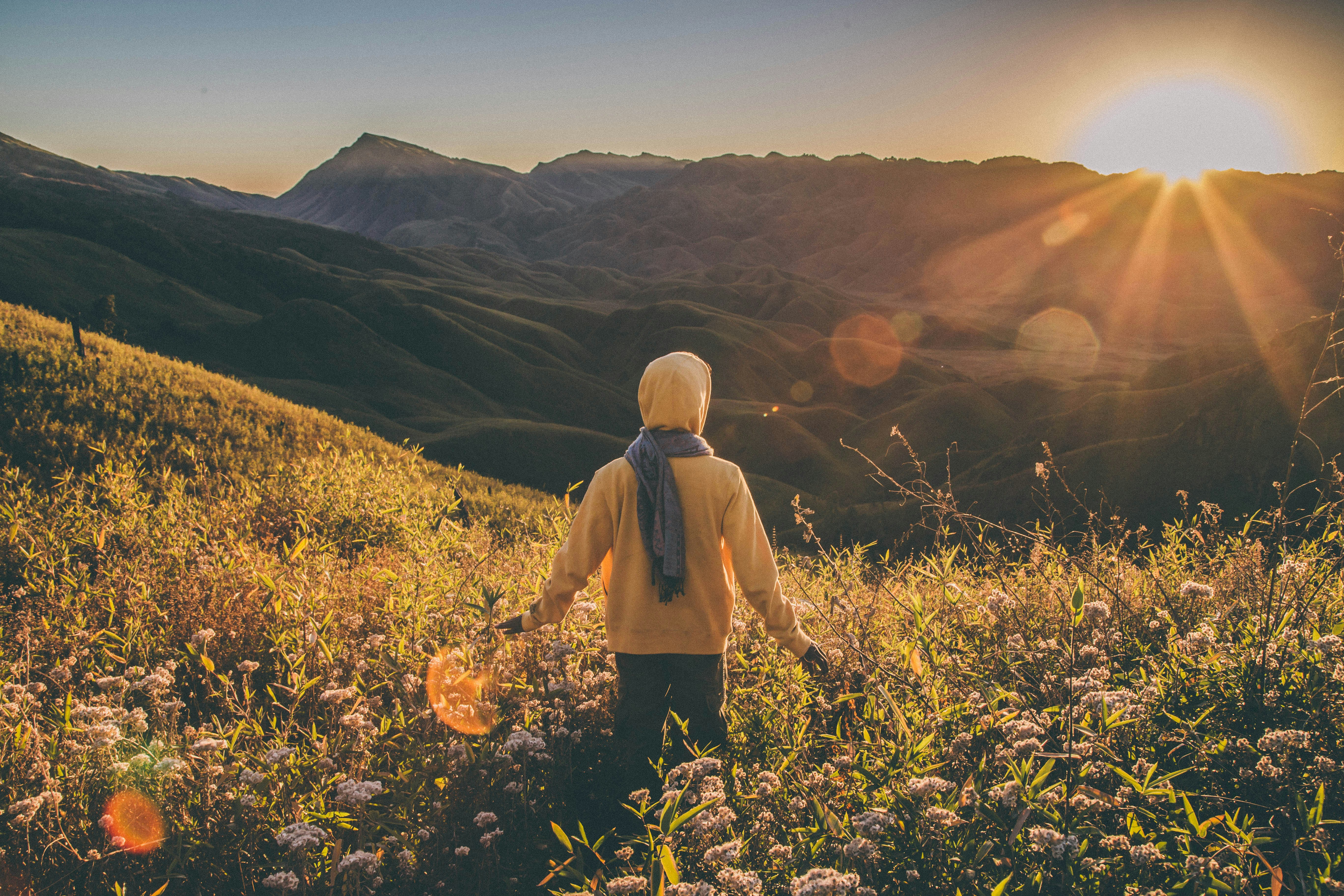 Protéger Wire Guide Awnings