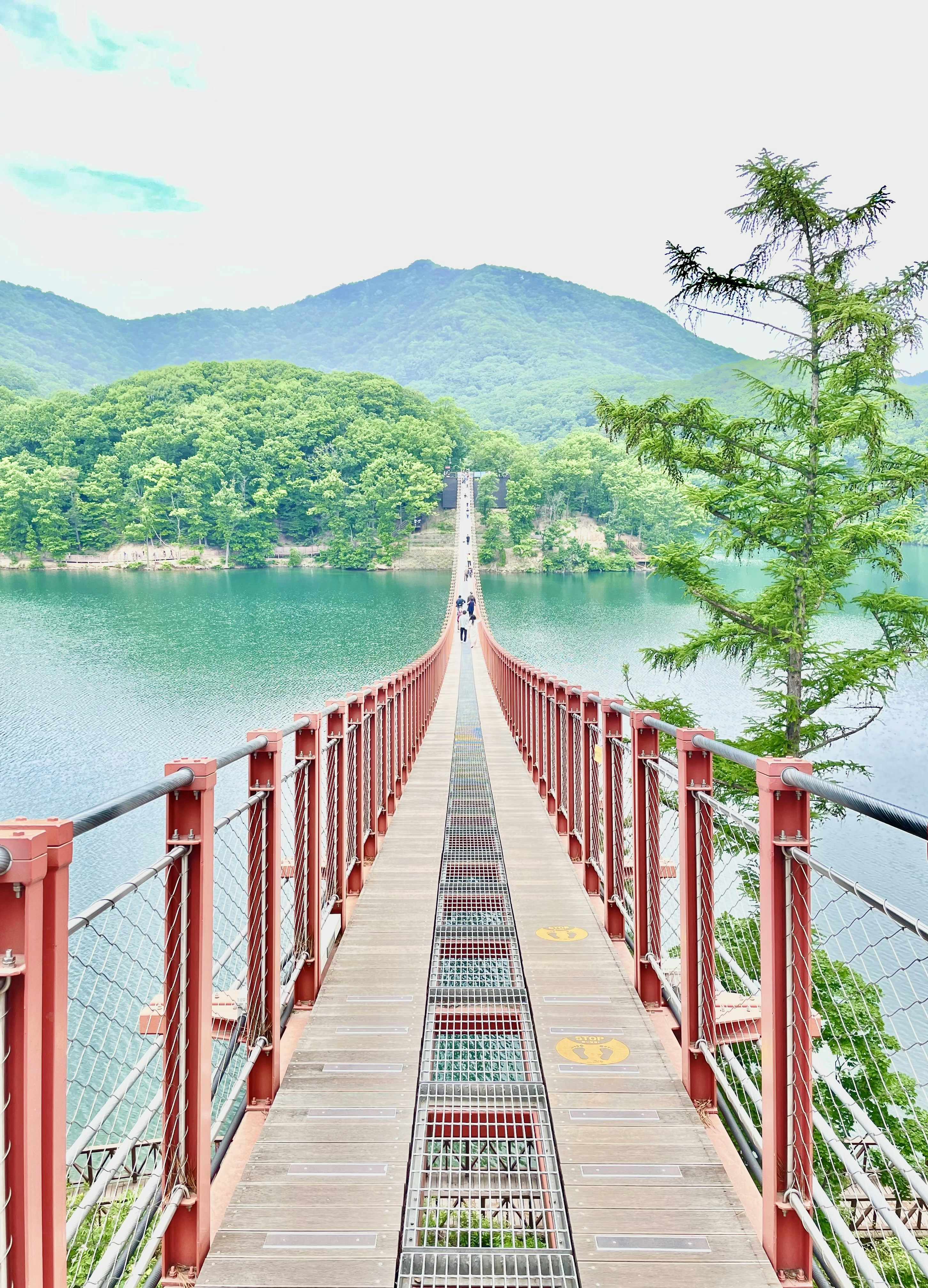 brown wooden bridge over river