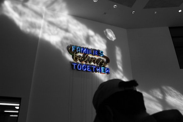 Neon signage with the words 'Families Belong Together' is mounted on a wall, illuminated in bright colors. Shadows cast dramatic patterns on the wall, and the scene includes a silhouette of a person wearing a cap in the foreground.