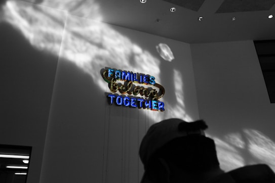 Neon signage with the words 'Families Belong Together' is mounted on a wall, illuminated in bright colors. Shadows cast dramatic patterns on the wall, and the scene includes a silhouette of a person wearing a cap in the foreground.