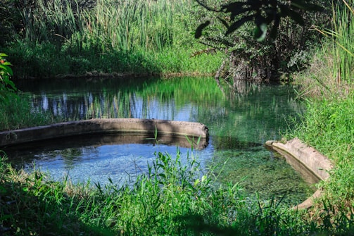 brown wooden log on river