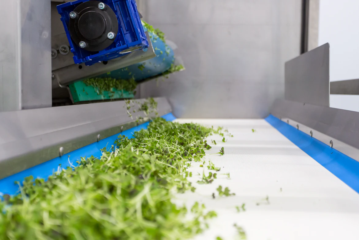 Packaging line