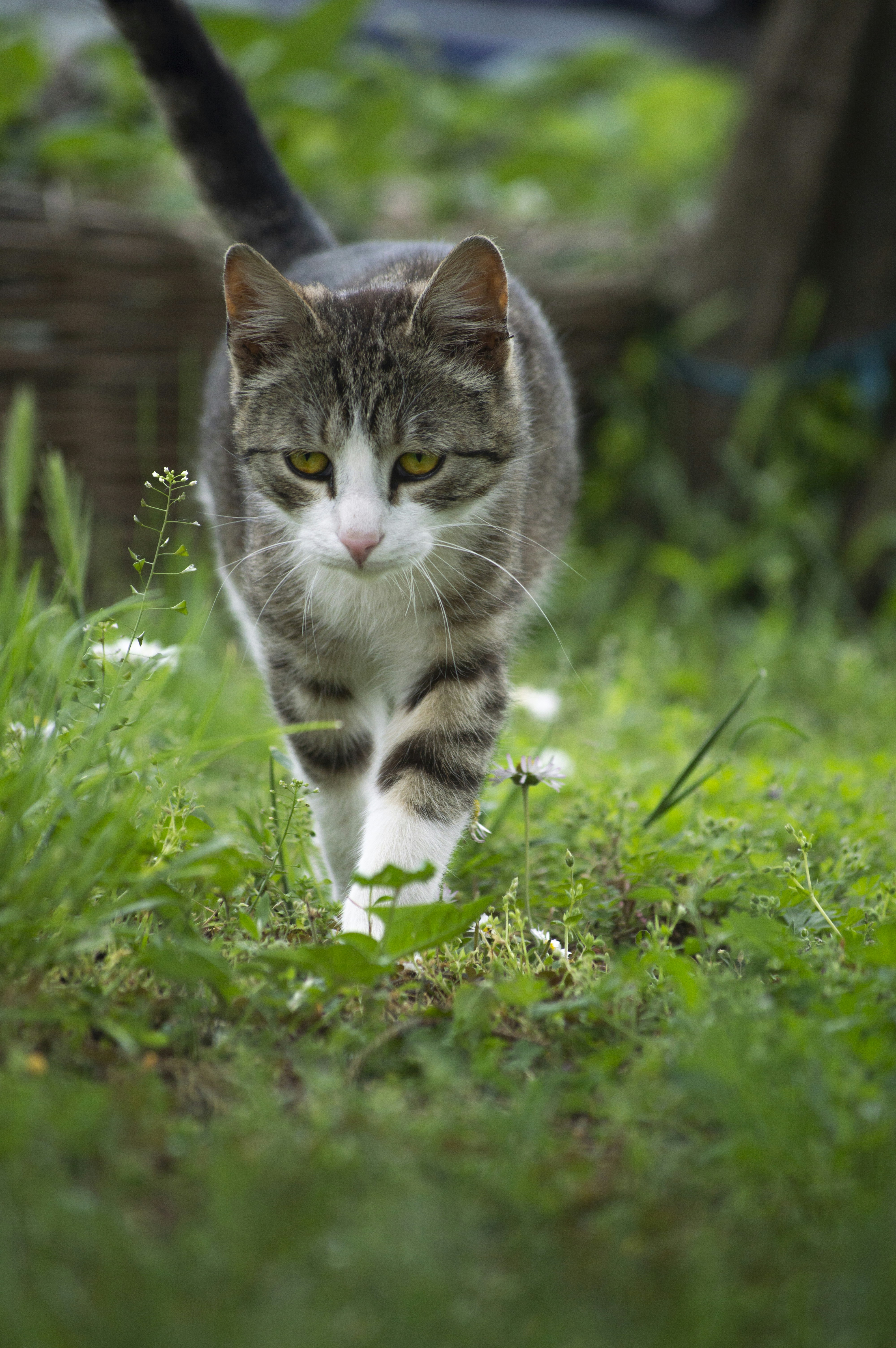 Photo by elizabeth_1