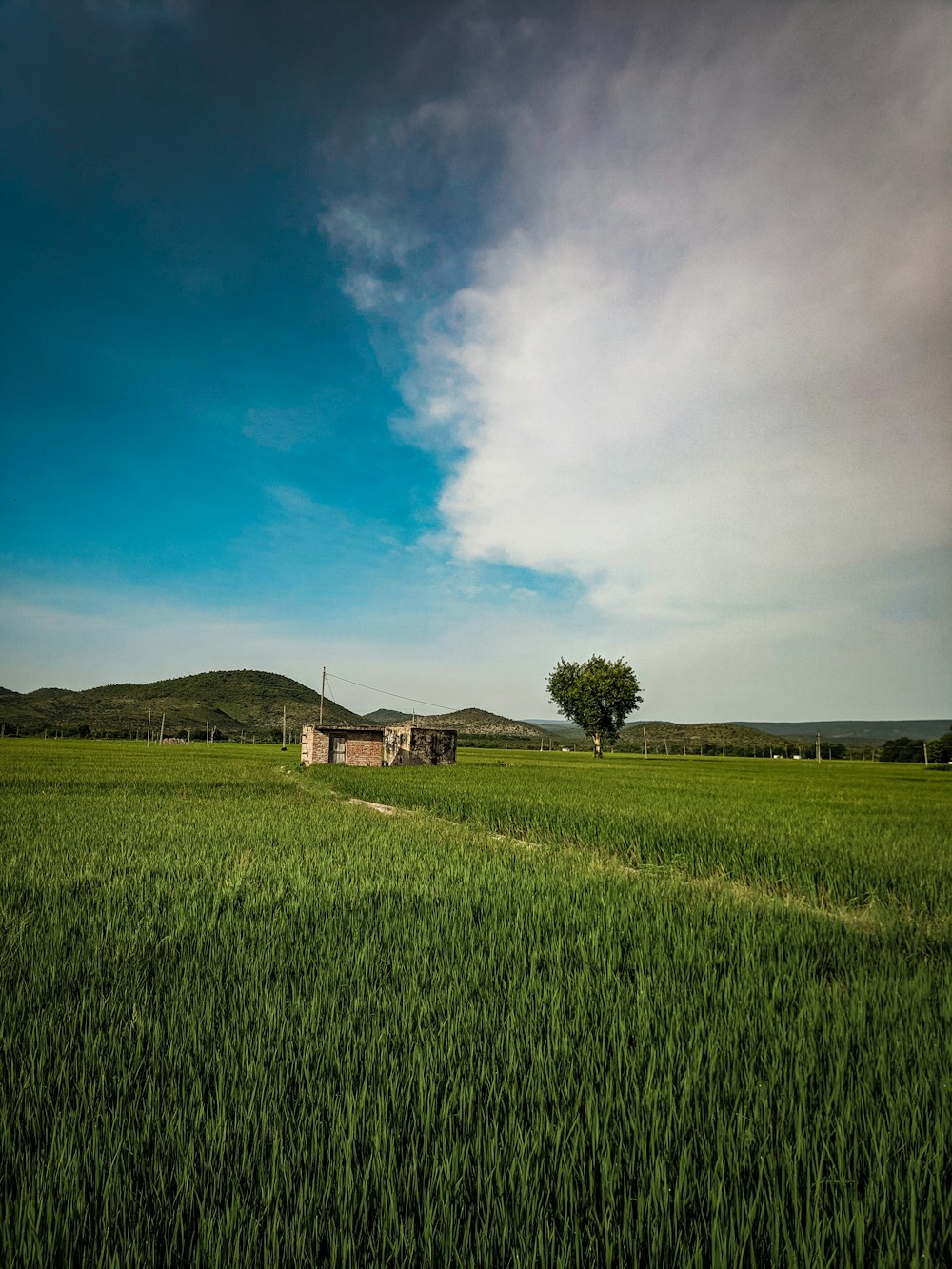 green grass field near brown house under blue sky during daytime