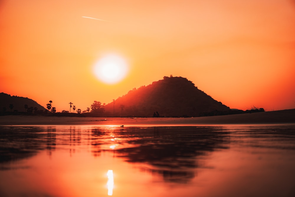 silhouette of trees near body of water during sunset