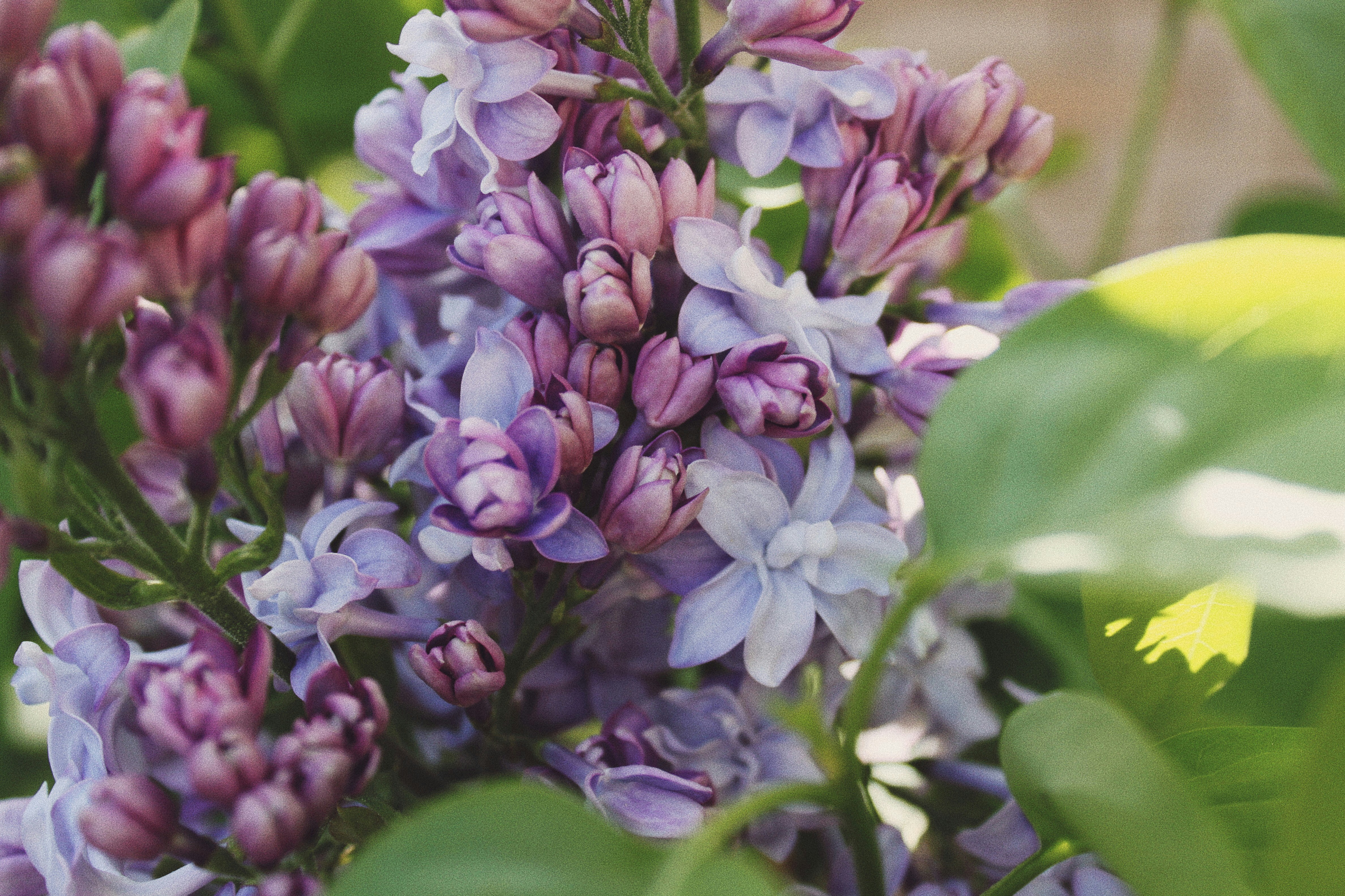 Photo by esthetic_soul