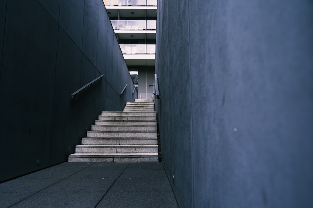 gray concrete stairs with blue wall