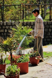 A man is watering plants from a garden hose in an outdoor setting. He is standing among several potted plants of varying types and sizes, with a backdrop of a stone wall and a wire fence. The plants are vibrant and healthy, indicating a sunny day.