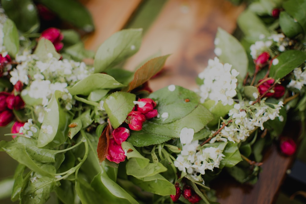 white and red flowers with green leaves