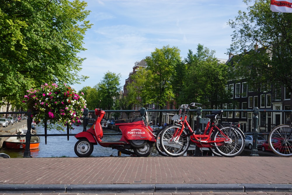 red and black motorcycle parked on gray concrete pavement near green trees during daytime