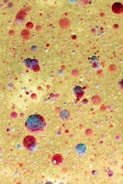 blue and red beads on brown surface